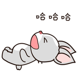 兔小哈