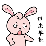 兔小小