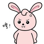 兔小小