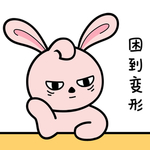 兔小小
