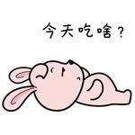 兔小小