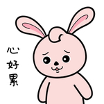 兔小小