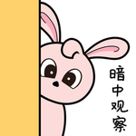 兔小小