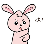 兔小小