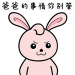 兔小小