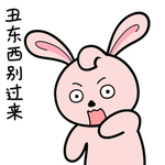 兔小小