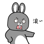 兔小天
