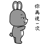 兔小天