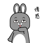 兔小天