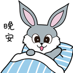 兔小爱