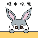 兔小爱
