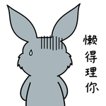 兔小爱