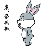兔小爱