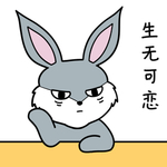 兔小爱