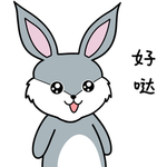 兔小爱