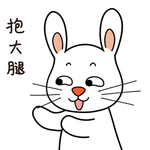 兔小宝