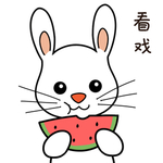 兔小宝
