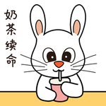 兔小宝