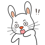 兔小宝