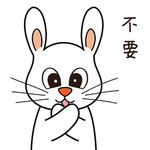 兔小宝