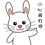 兔小宝