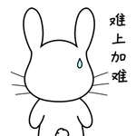 兔小宝
