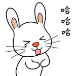 兔小宝