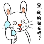 兔小宝