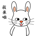 兔小宝