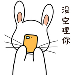 兔小宝