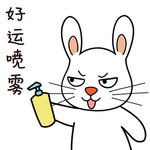 兔小宝