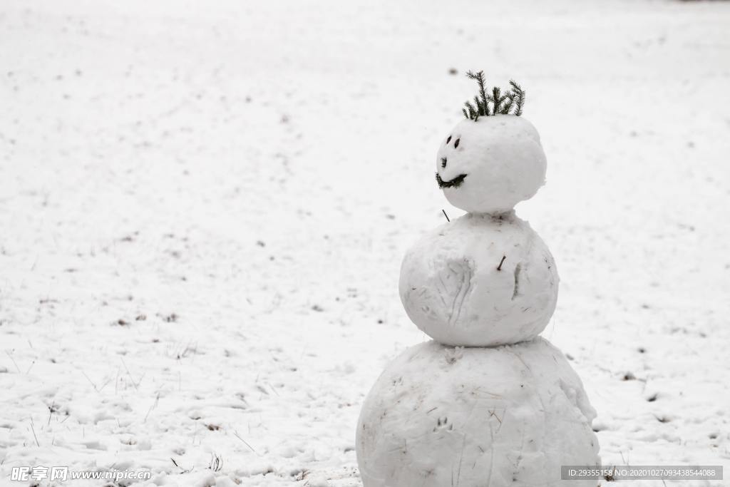 雪地