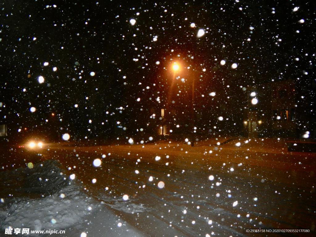 雪地