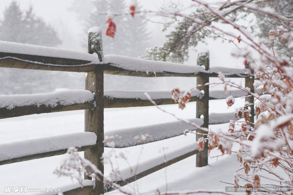 雪地