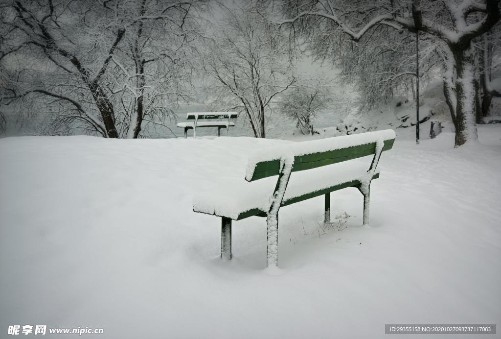 雪地