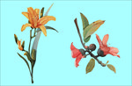 花