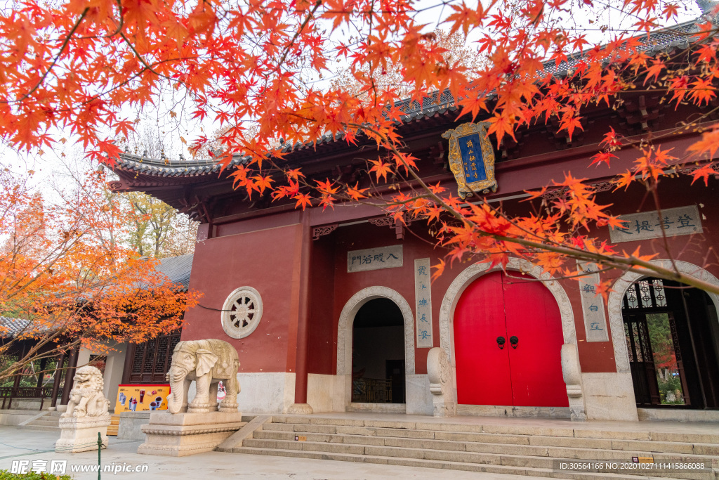 寺庙枫叶秋季旅游旅行背景素材