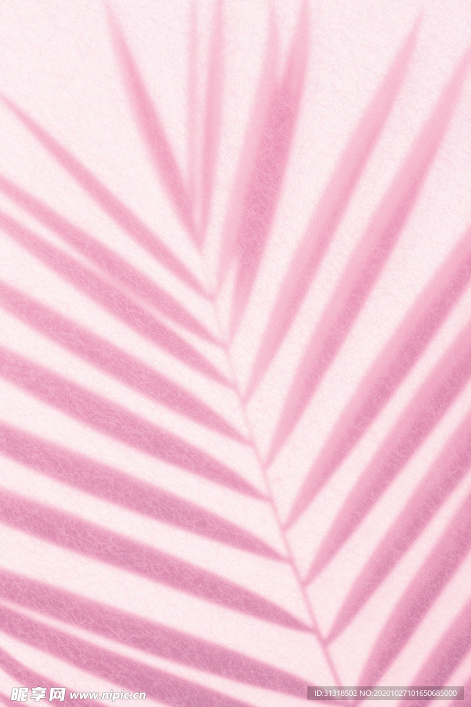 花纹树叶