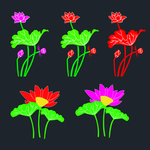 异形荷花