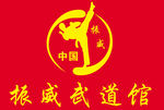 振威武道馆logo