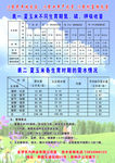 农兴种子