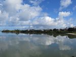 奥克兰海边风景