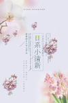 小清新