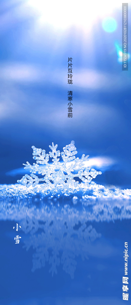 地产质感小雪节气海报