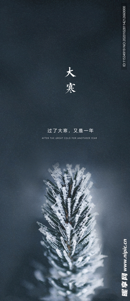 地产大寒节气海报