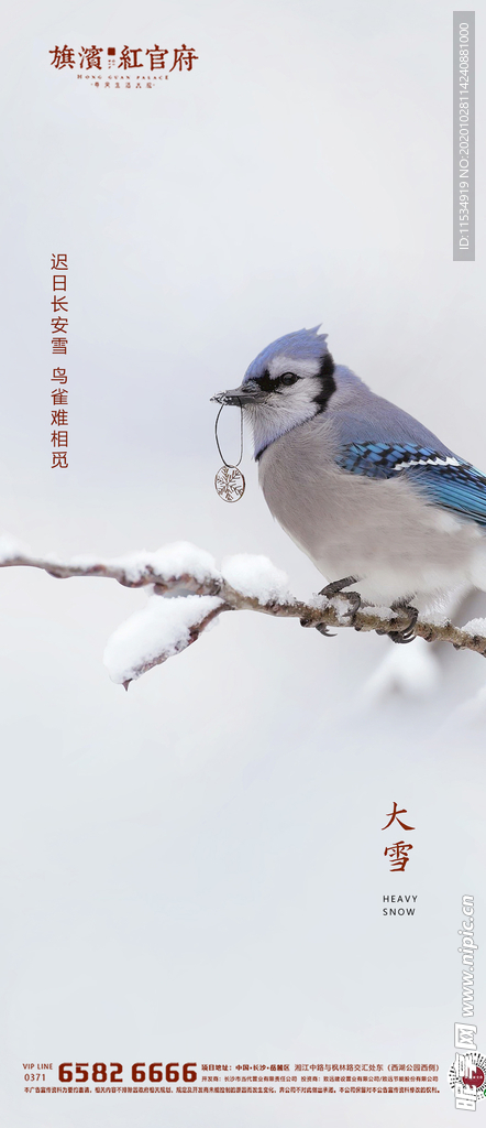 地产质感大雪节气海报