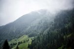 山