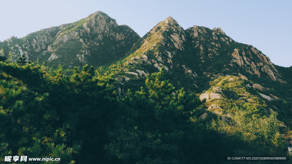 山