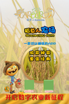 稻草人推广海报1