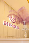 莎蔓莉莎